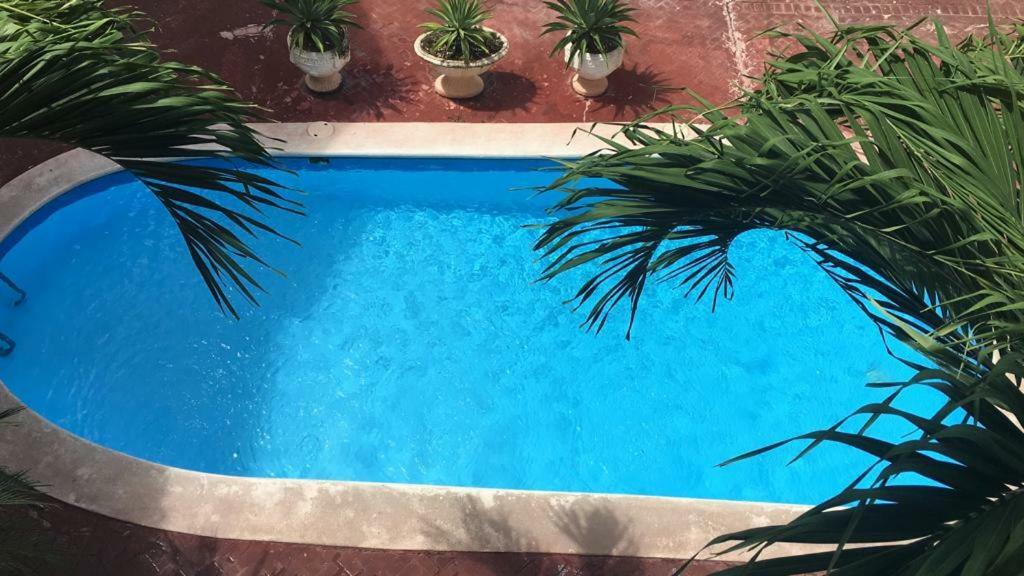 Arcoiris Share Apartment Bavaro Punta Cana Eksteriør billede